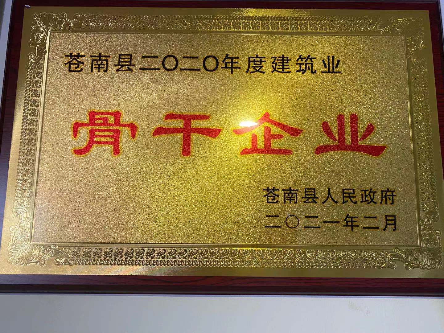 苍南县建筑业骨干企业