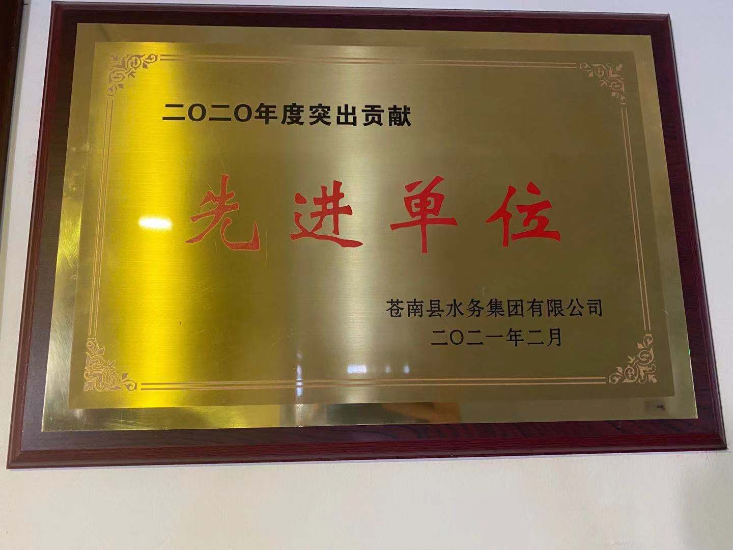 突出贡献先进单位